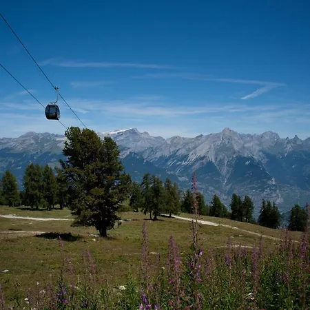 In Near Gondola Veysonnaz