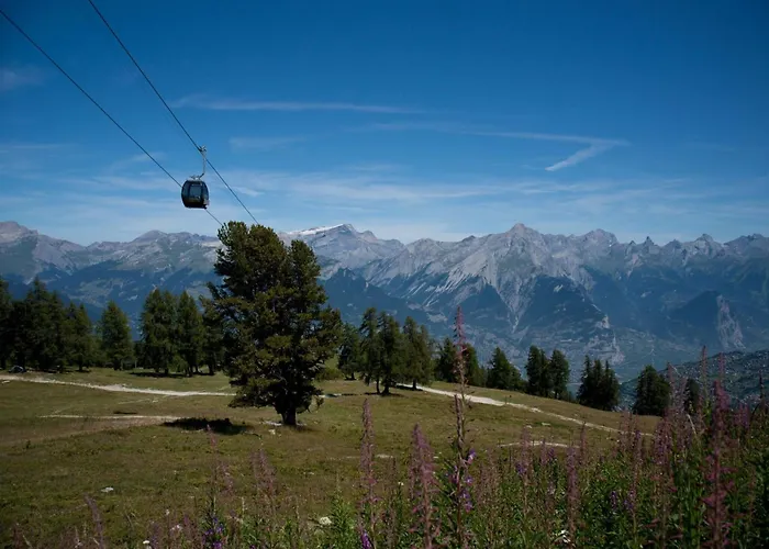 In Near Gondola Veysonnaz